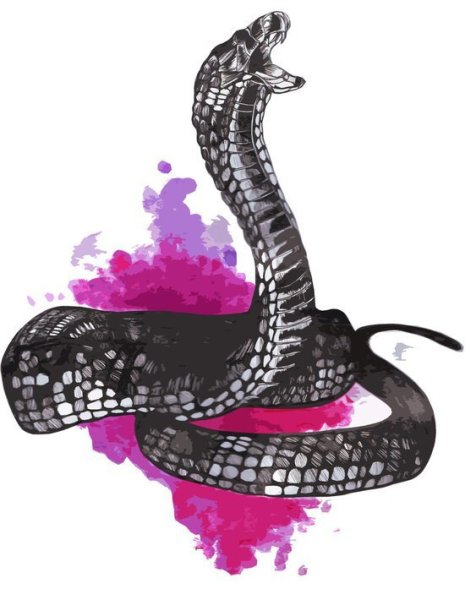 Рисунок змеи акварелью