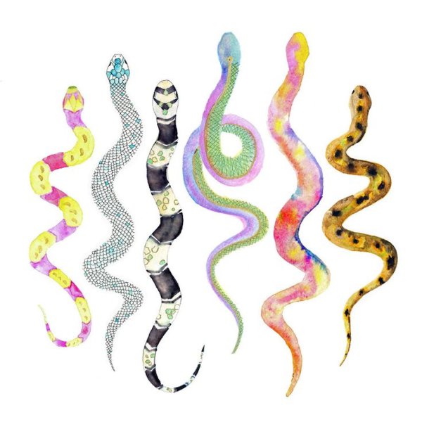 Тату змея акварель
