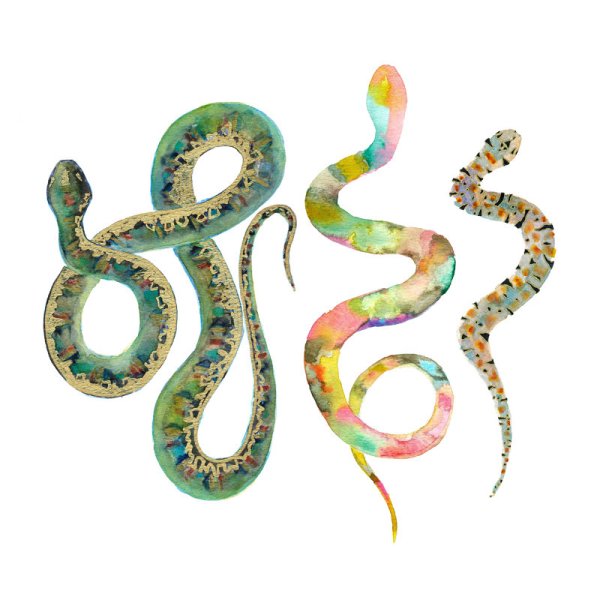 Змейка акварелью