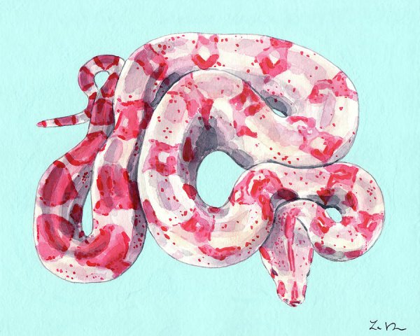 Змея акварелью