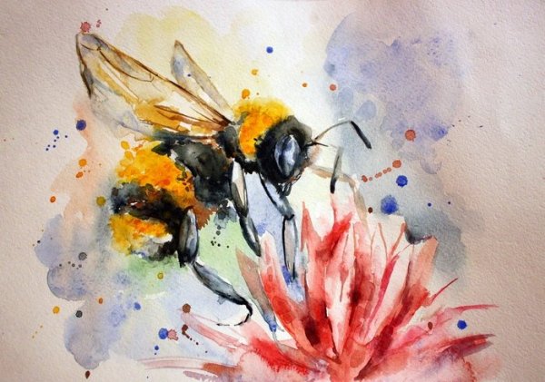 Насекомые акварелью