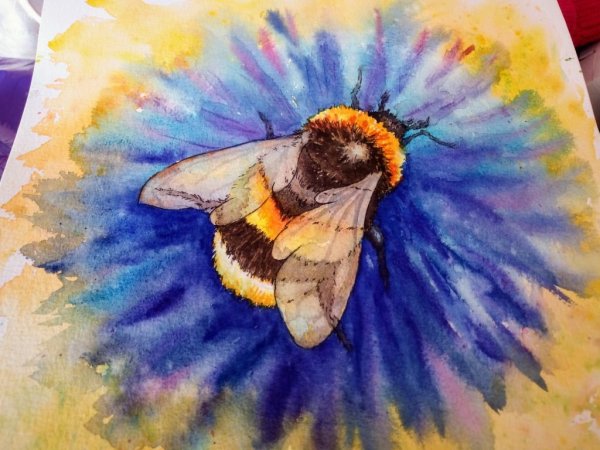 Шмель акварелью