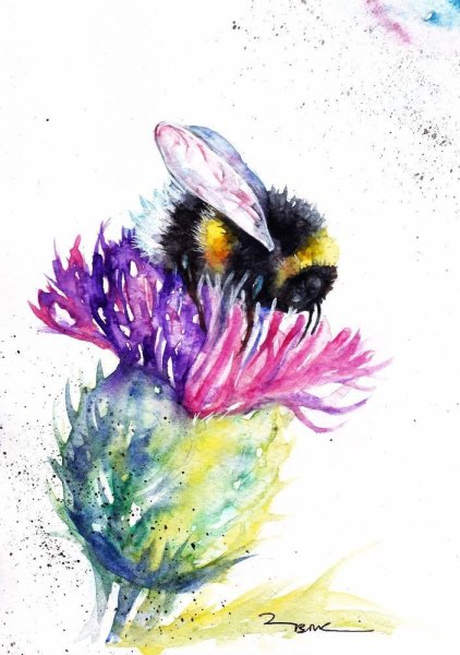 Шмель акварелью