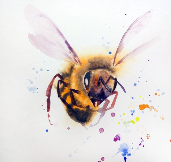 Акварель "Пчелка"