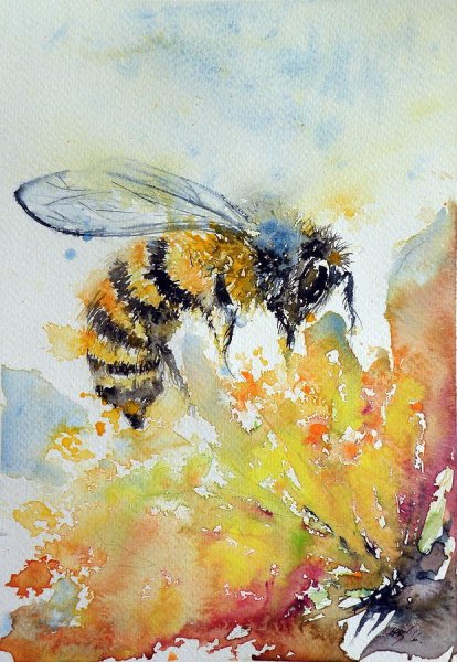 Пчела акварель