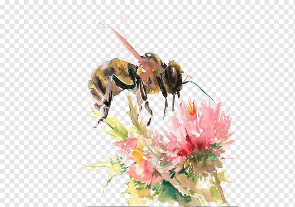 Пчела акварель