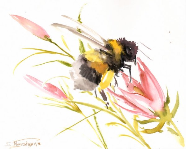 Пчела акварель