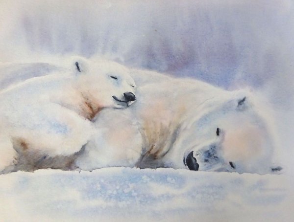 Белый мишка акварель
