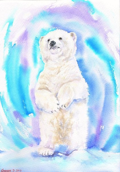Белый медведь акварель