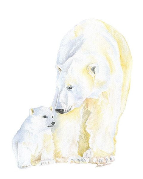 Белый медведь акварель