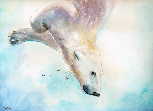 Белый медведвежоно какварель