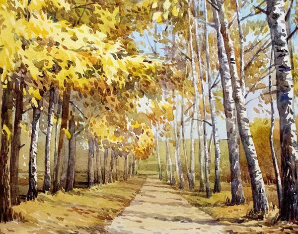 Берёзовая аллея картина