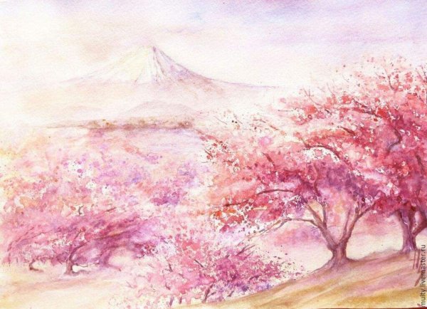 Фудзи Сакура акварель