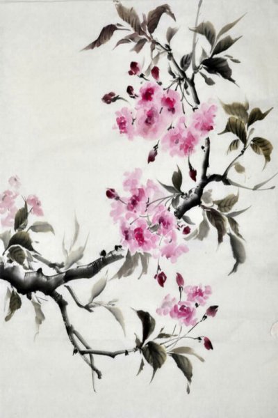 Маки в Суми-э