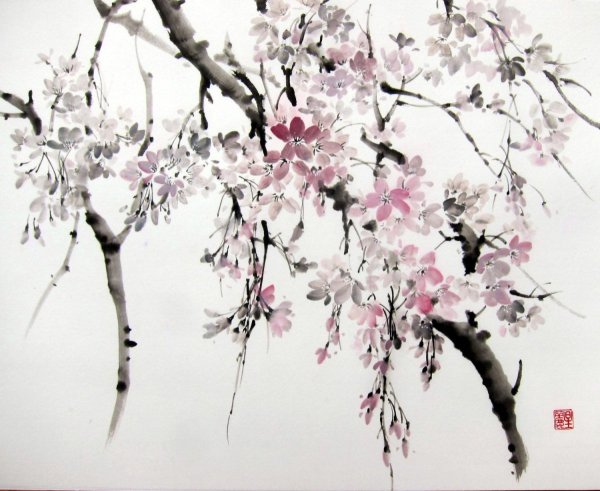 Суйбокуга Сакура