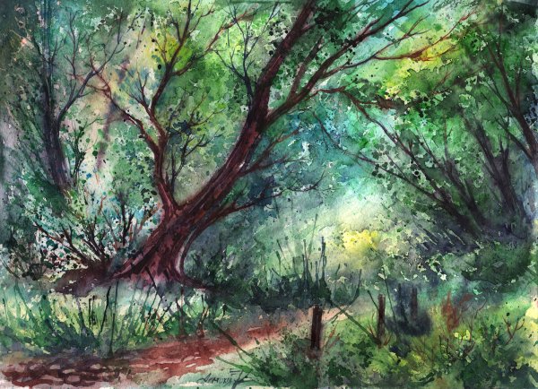 Анна Армона акварель