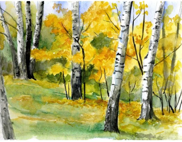 Осенние березы акварелью
