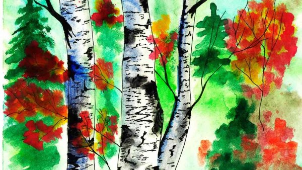 Осень березы акварель детям мастер класс