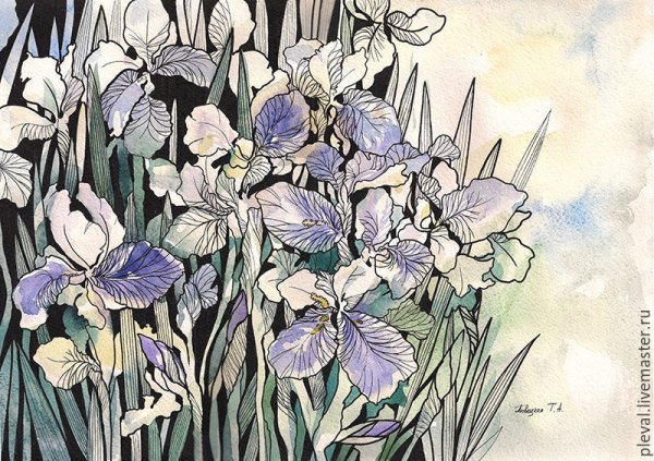 Ирис линером