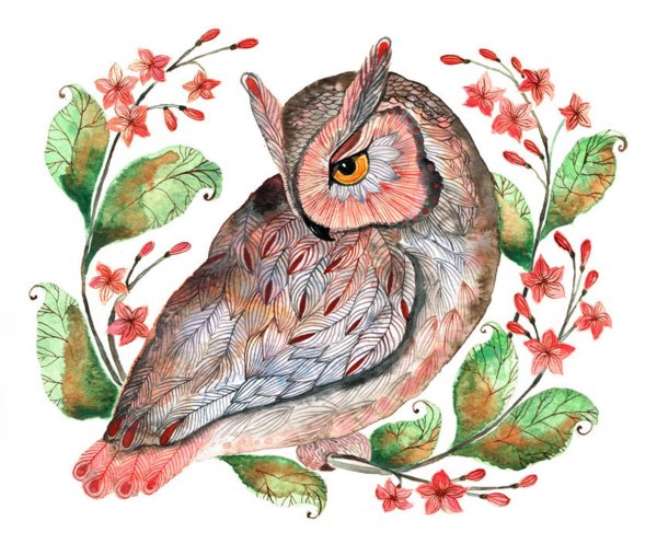 Птицы акварельными карандашами