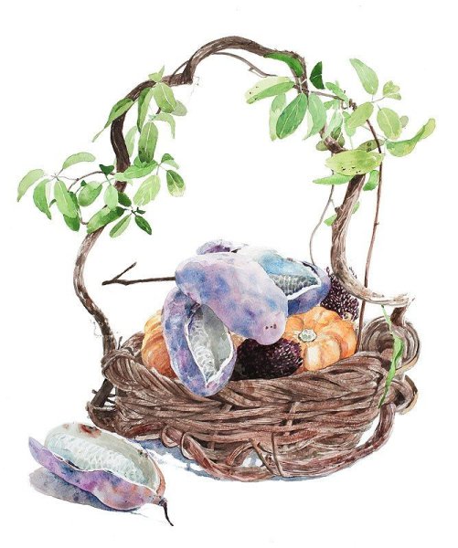 Аяко Тсуге акварель 2020