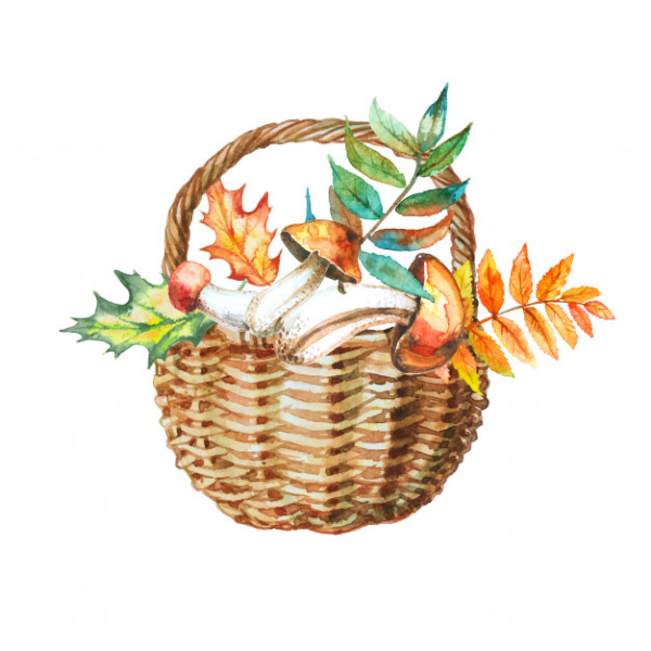 Корзина с листьями
