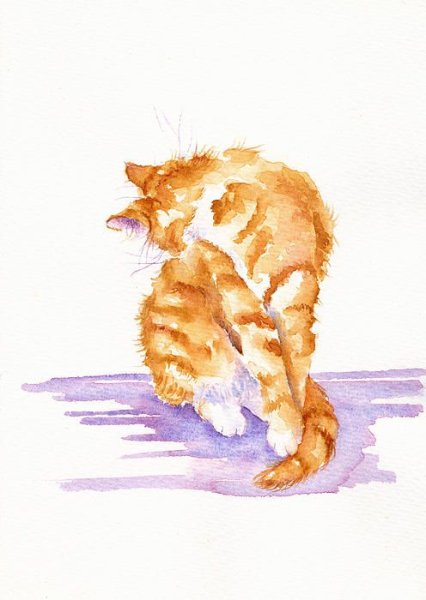 Рыжая кошка акварель