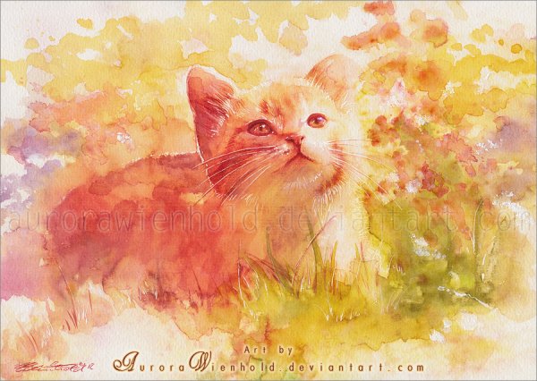 Aurora Wienhold картины