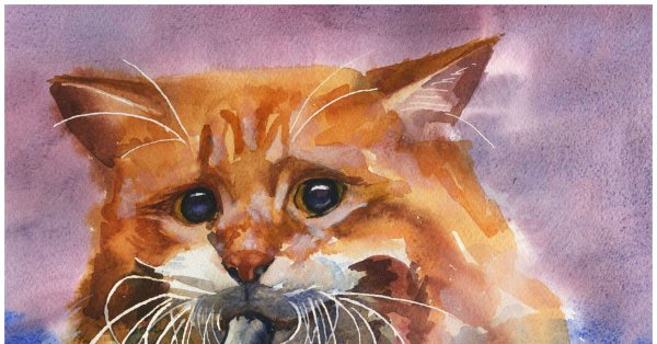 Рыжий кот гуашью