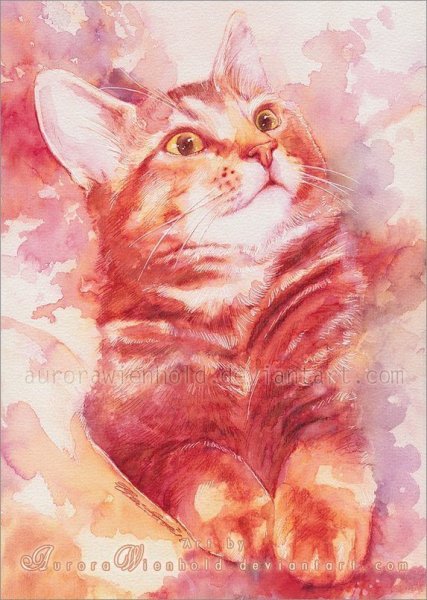 Aurora Wienhold картины