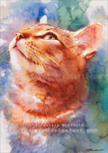 Аврора Винхольд картины