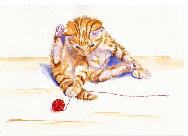 Набросок рыжего кота