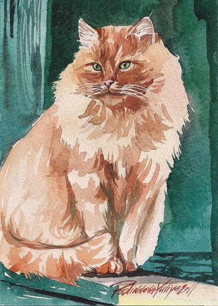 Рыжий кот акварелью