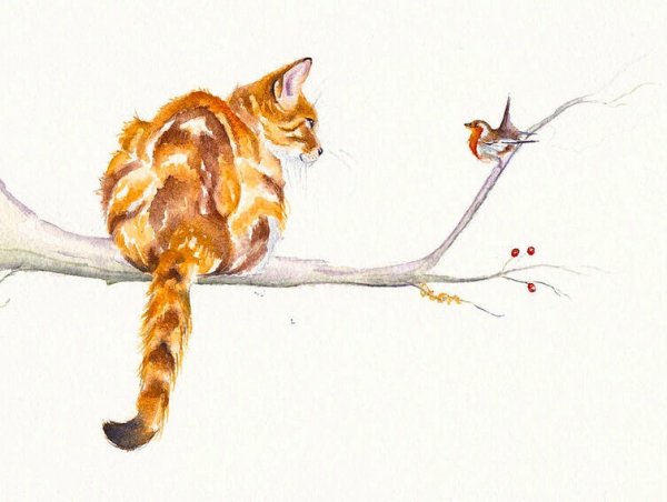 Акварель кот на ветке