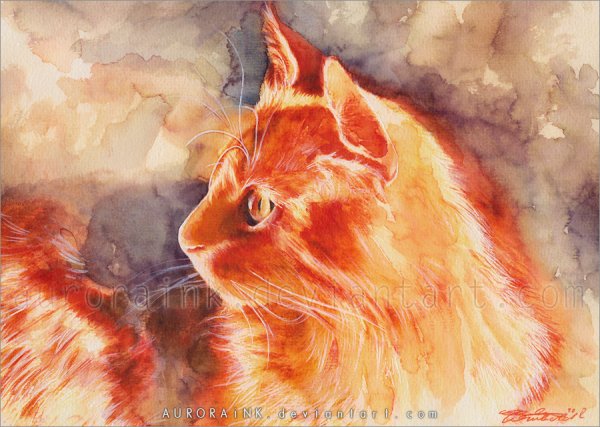 Аврора Винхольд картины