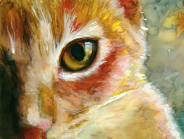 Акварельные коты художника Alex Carter