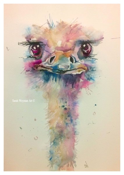 Животные акварелью