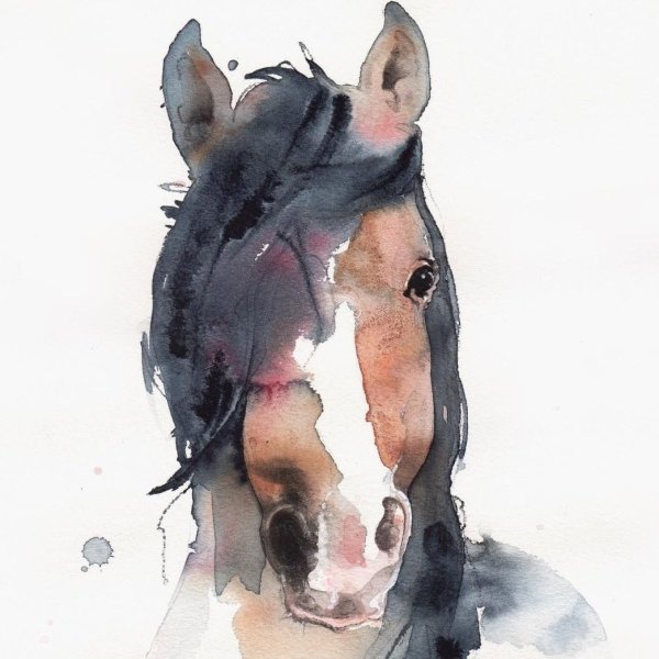 Этюды животных акварелью