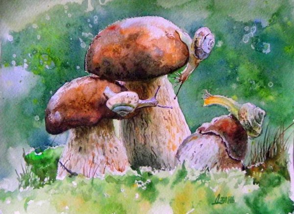 Белый гриб живопись
