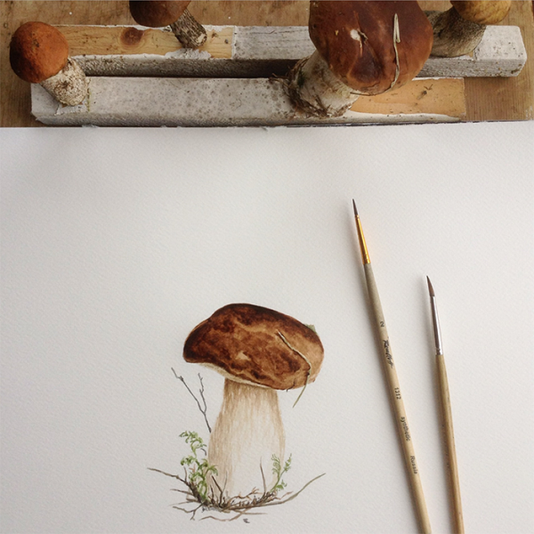 Грибы акварелью