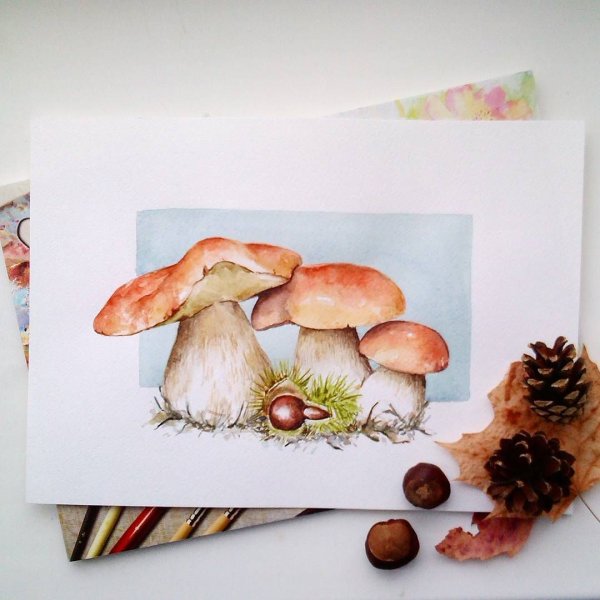 Акварельные грибочки