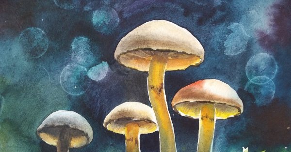 Грибы акварелью