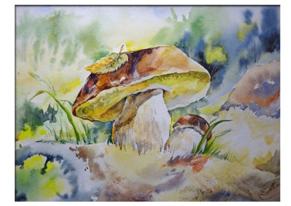 Грибы акварелью