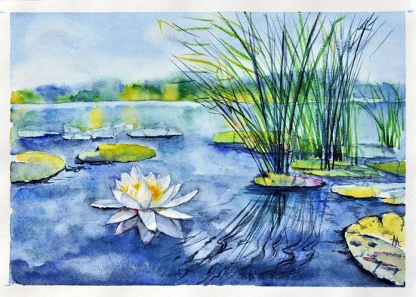 Пруд гуашью акварелью