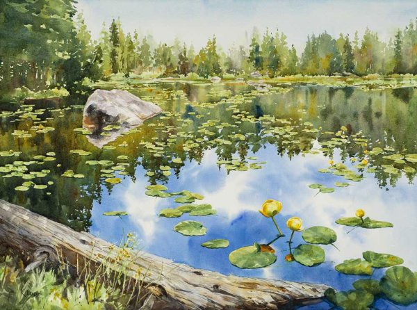 Кувшинки романа Божкова