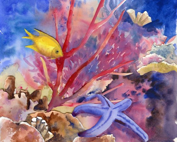 Краски подводного мира