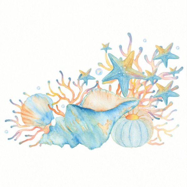 Морские растения акварелью на прозрачном фоне
