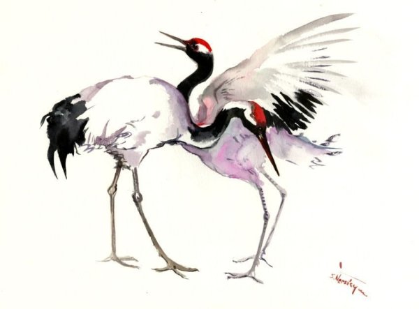 Журавль акварель