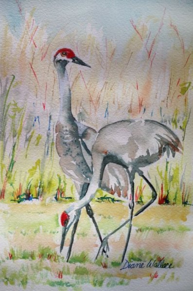 Журавль рисунок