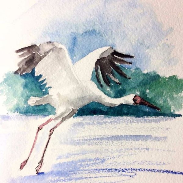 Журавлик акварелью